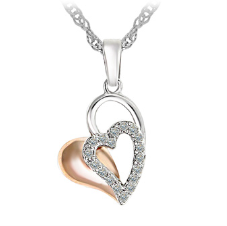Legend Heart two tone necklace