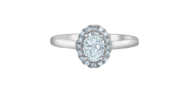 14K White Gold Lab Grown Diamond Oval Halo